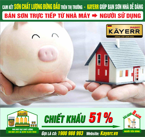 Sơn Kayerr kinh tế là gì?